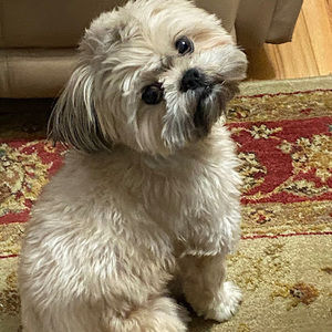 Meet your Posher, Hilda